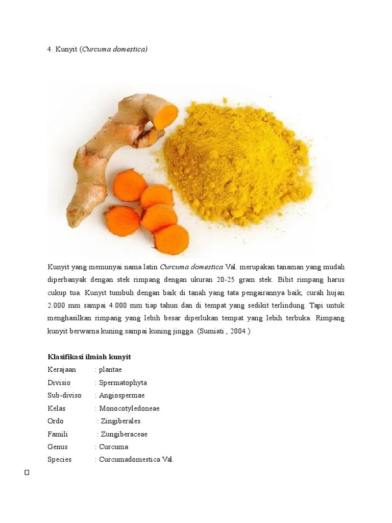Klasifikasi Kunyit | PDF