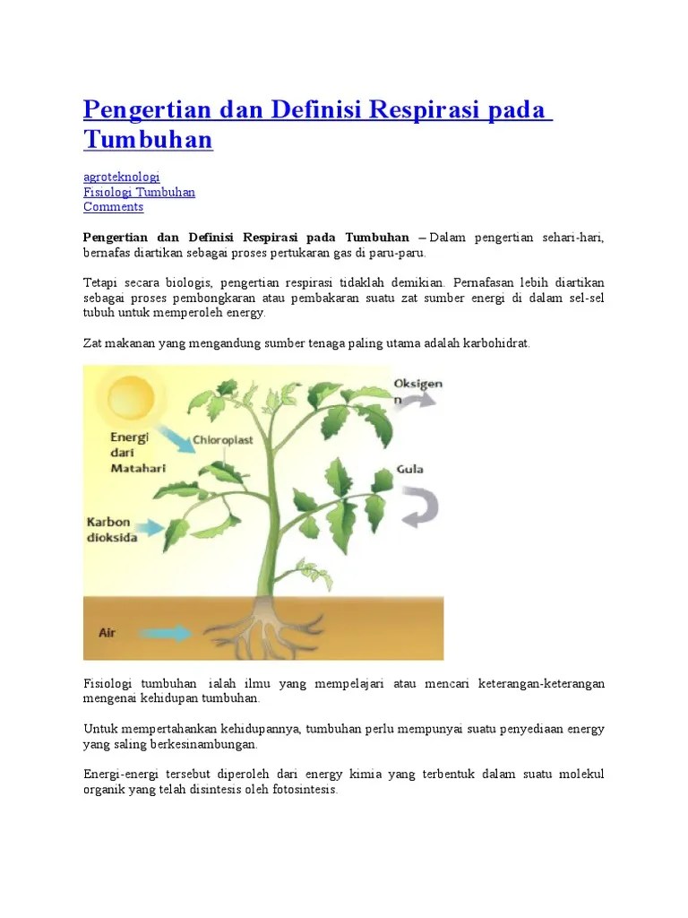 Pengertian Dan Definisi Respirasi Pada Tumbuhan | PDF