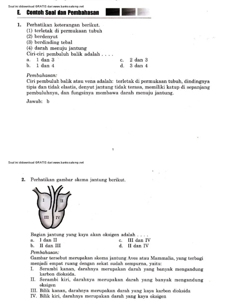 Latihan ujian nasional kelas xii ipa sma; Soal Fokus Siap Un Smp Mts Biologi 11 Sistem Peredaran Darah Pada Manusia Pdf