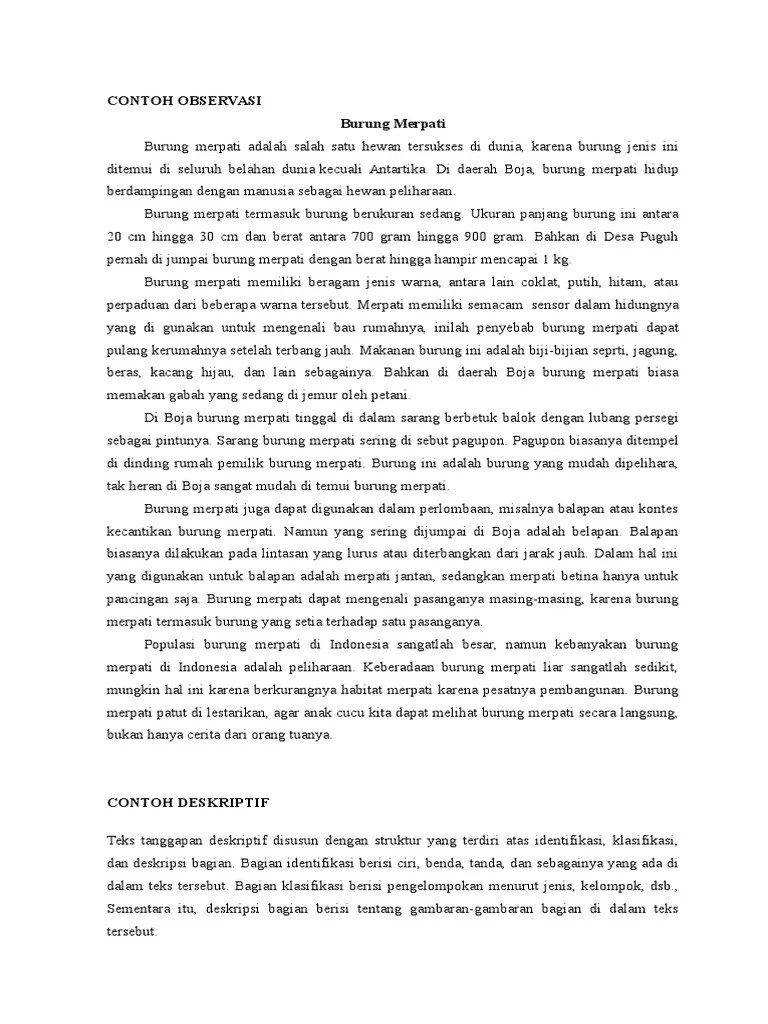 Contoh Observasi | PDF