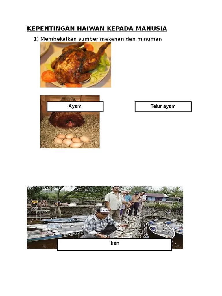 Akal merujuk kepada fikiran atau kebolehan manusia Kepentingan Haiwan Kepada Manusia Pdf
