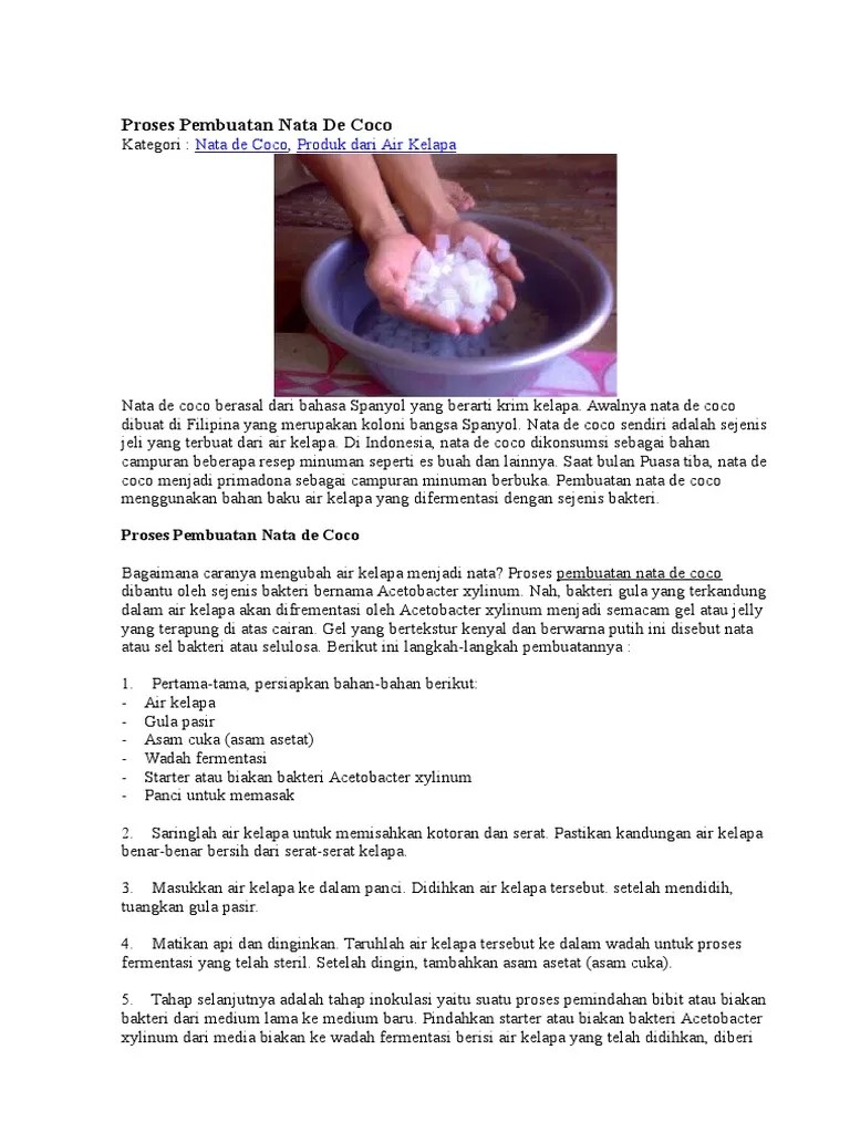 Proses Pembuatan Nata de Coco | PDF