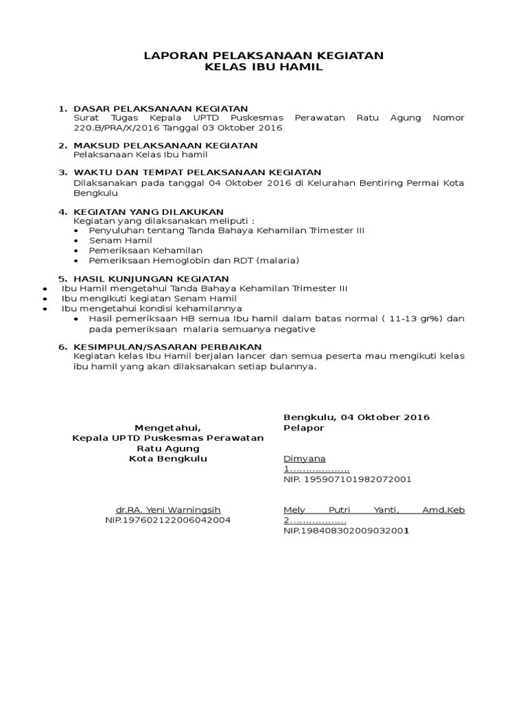 Laporan Pelaksanaan Kegiatan Bok Kelas Ibu Hamil | PDF