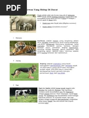 10 Jenis Hewan Yang Hidup Di Darat | PDF