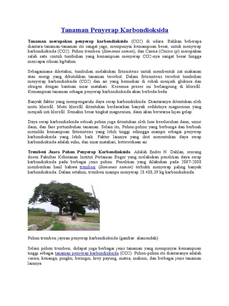 Tanaman Penyerap Karbondioksida | PDF