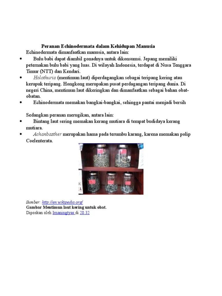 Peranan Echinodermata | PDF