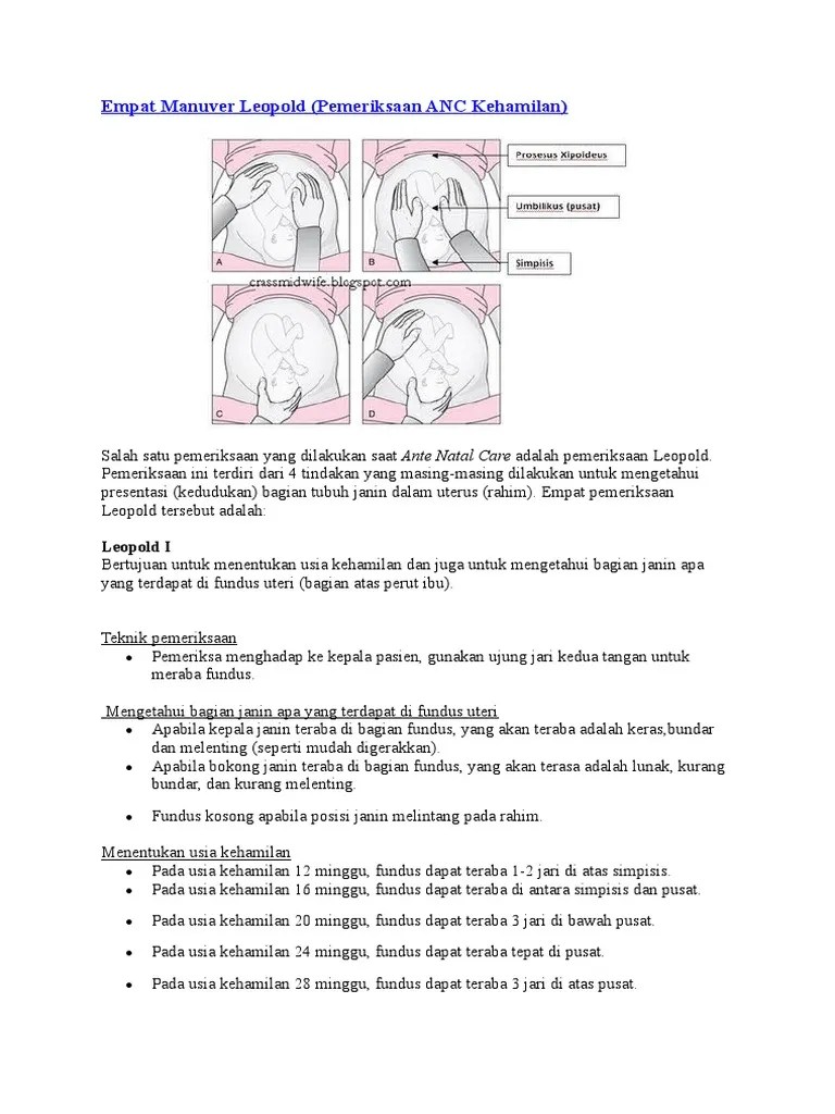 Empat Manuver Leopold | PDF