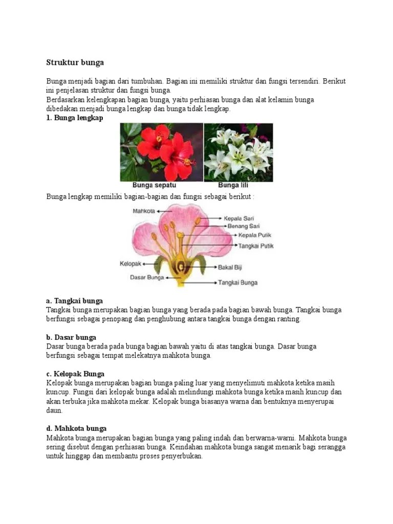 Struktur Bunga | PDF