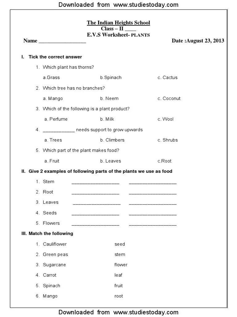 cbse class 2 evs practice worksheets 18 plants plants trees