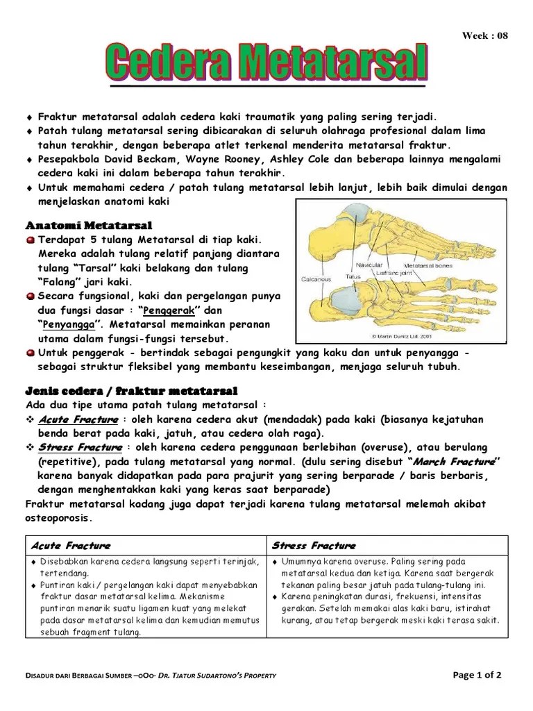 Cedera Metatarsal | PDF