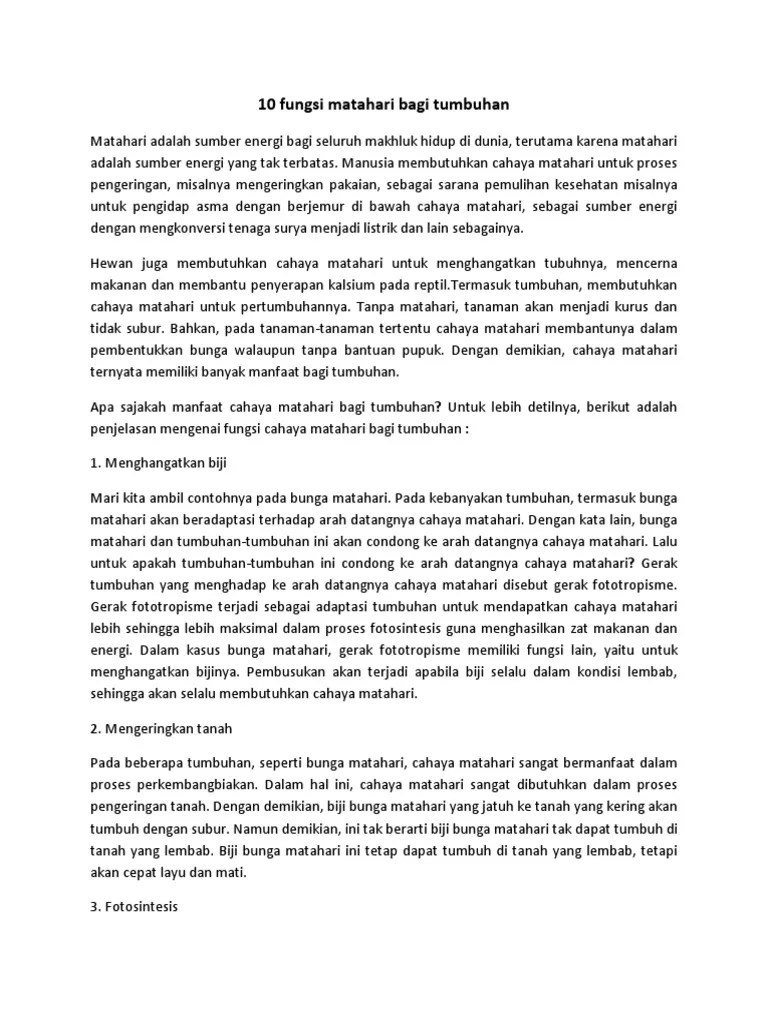 10 Fungsi Matahari Bagi Tumbuhan