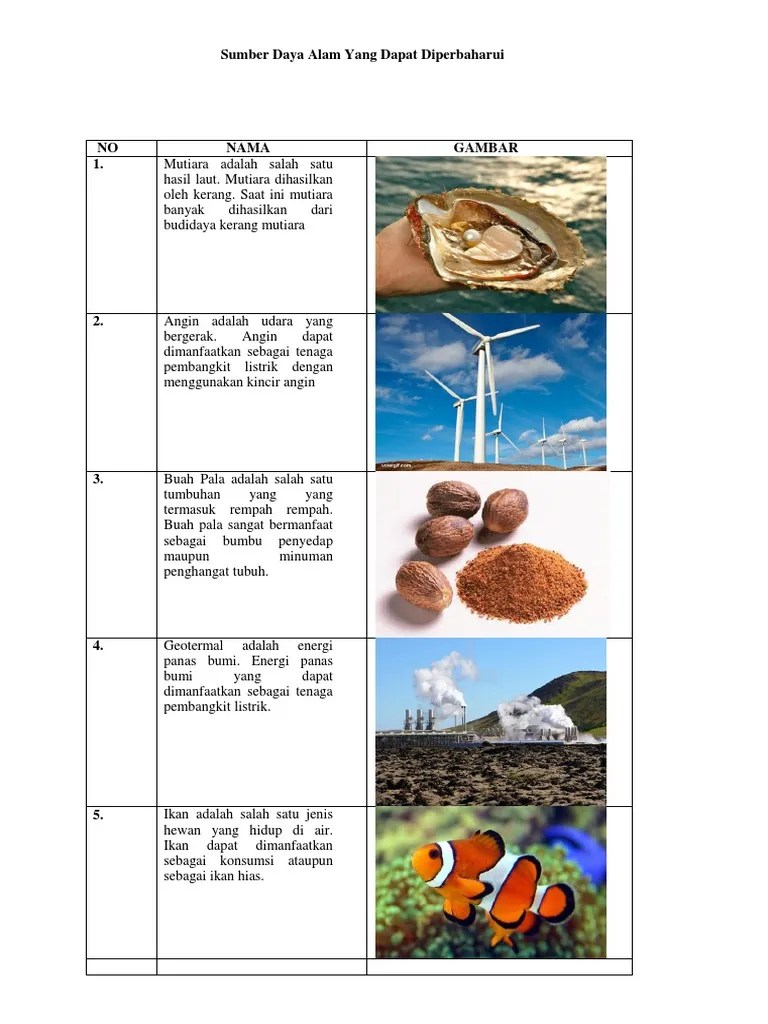 Sumber Daya Alam Yang Dapat Diperbaharui | PDF