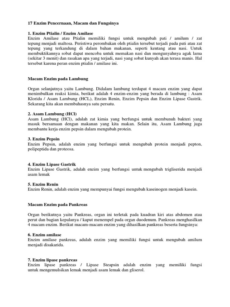 17 Enzim Pencernaan | PDF