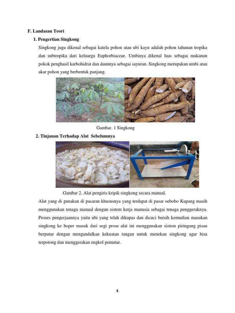 Revisi Landasan Pengertian Singkong | PDF