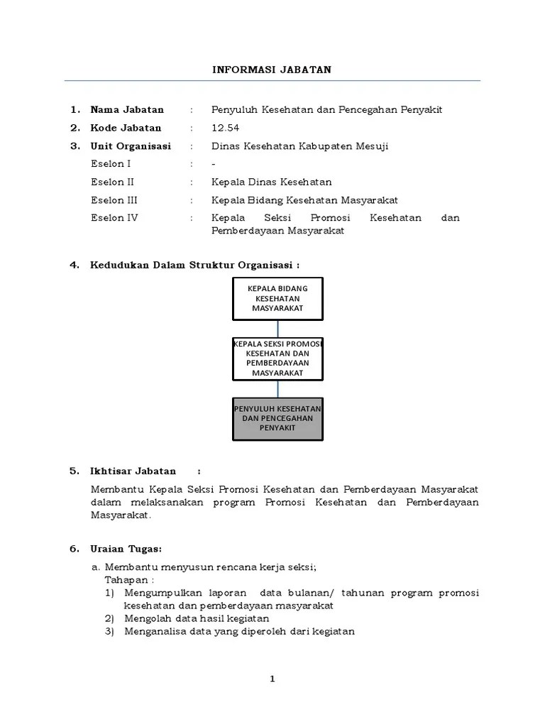 Penyuluh Kesehatan Dan Pencegahan Penyakit | PDF