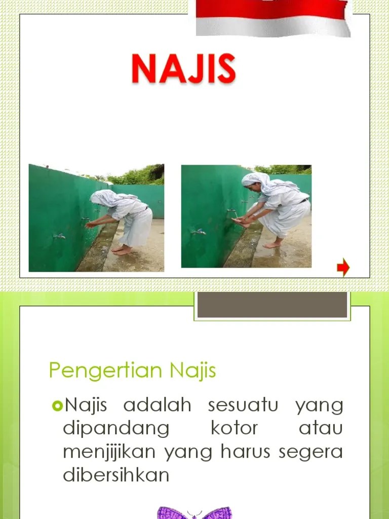 Najis | PDF