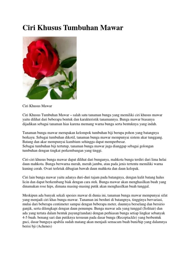 Ciri Khusus Tumbuhan Mawar | PDF