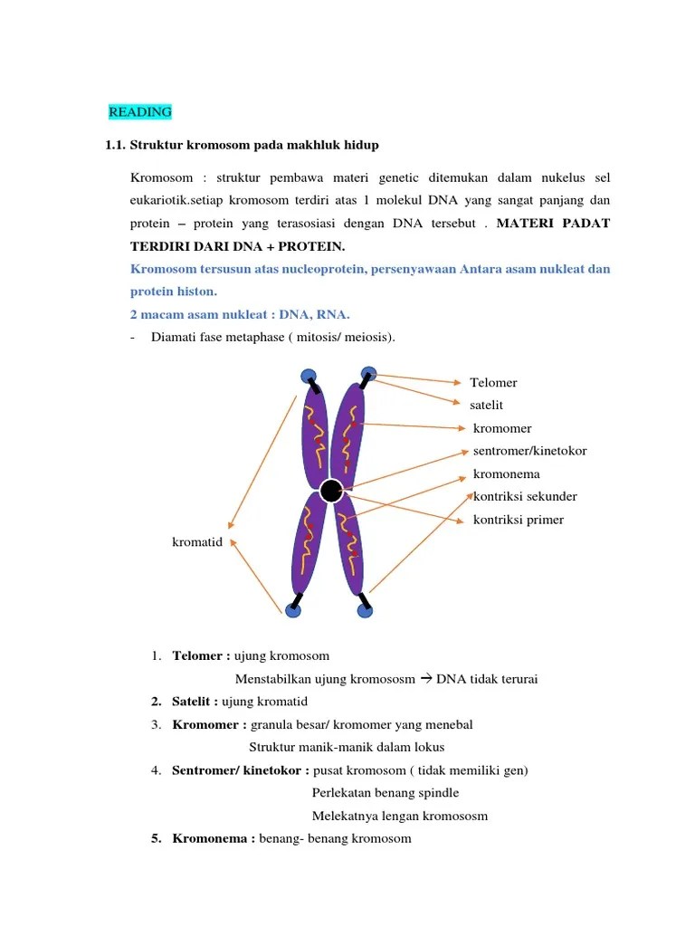 Topik 1 Genetika | PDF
