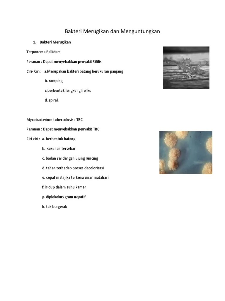 Bakteri Merugikan Dan Menguntungkan | PDF