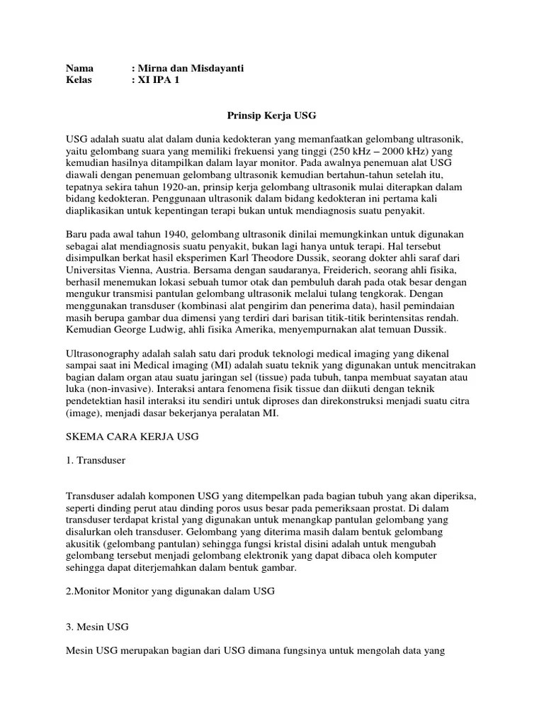 Prinsip Kerja USG | PDF