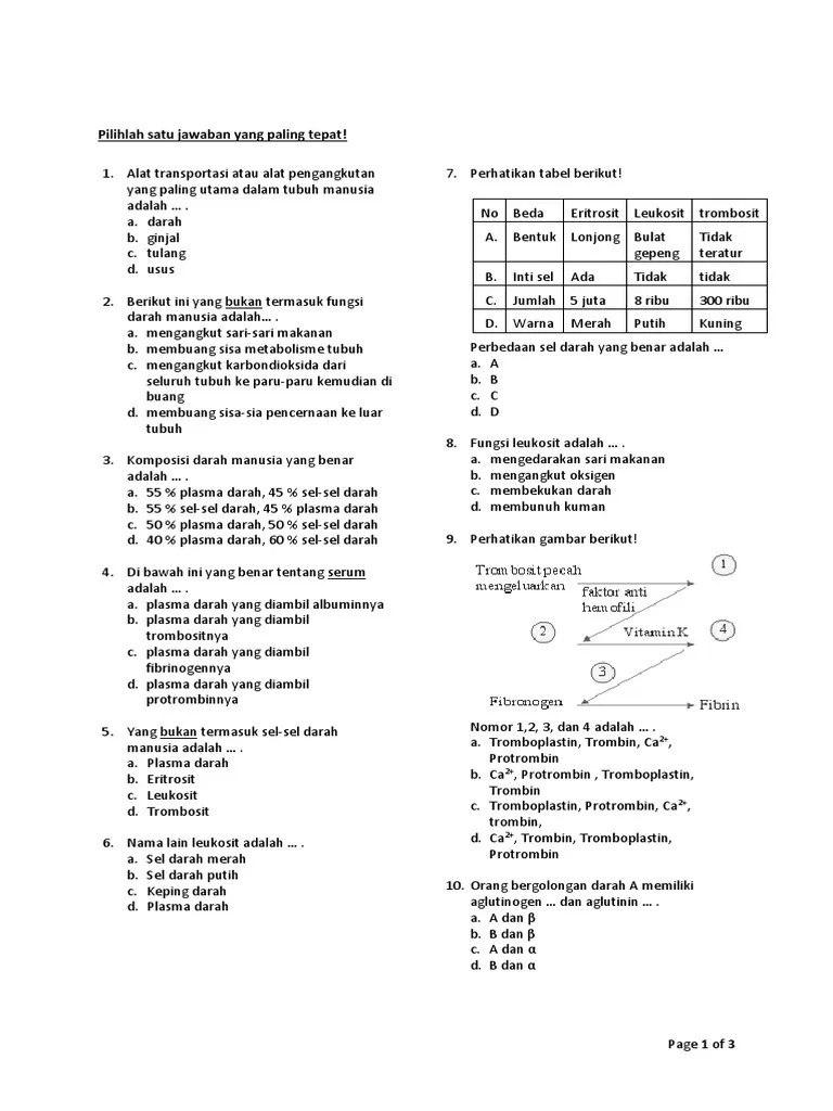 Zat di dalam tubuh, pada manusia berupa sistem peredaran darah. Soal Un Tentang Sistem Peredaran Darah Python