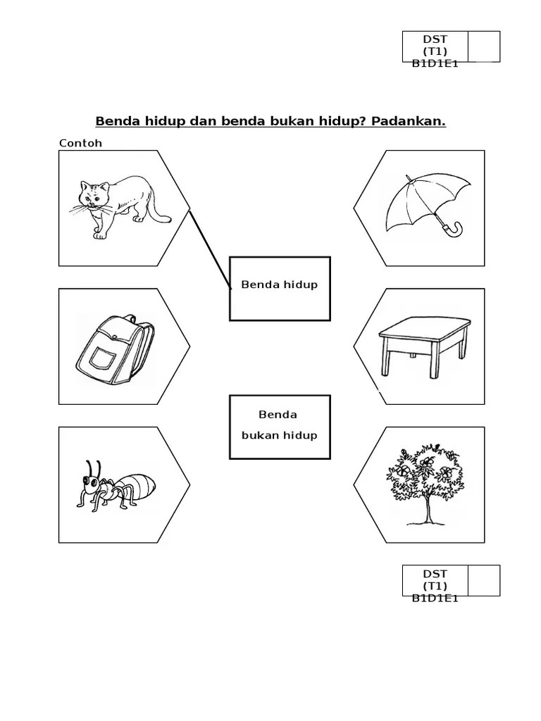 Lembaran kerja sains tahun 1 keperluan asas benda hidup keperluan . Lembaran Kerja Benda Hidup Dan Bendukan Hidup Dst Tahun 1 Pdf