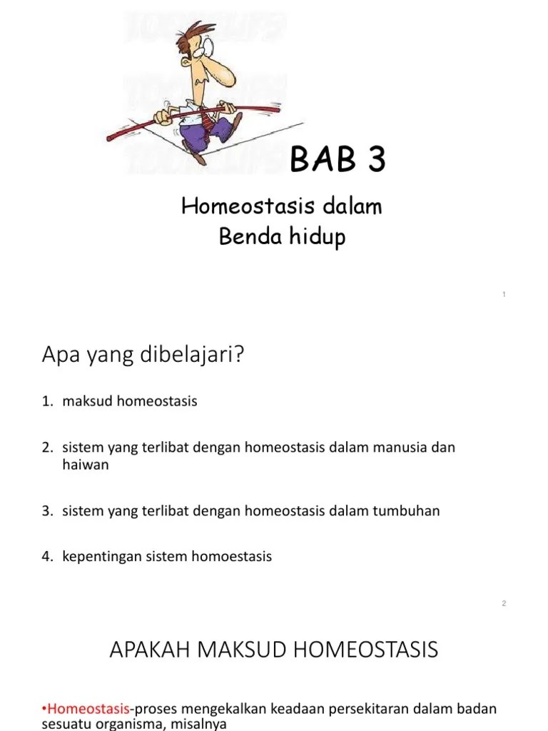 Play this game to review science. Homeostasis Dalam Benda Hidup Pdf
