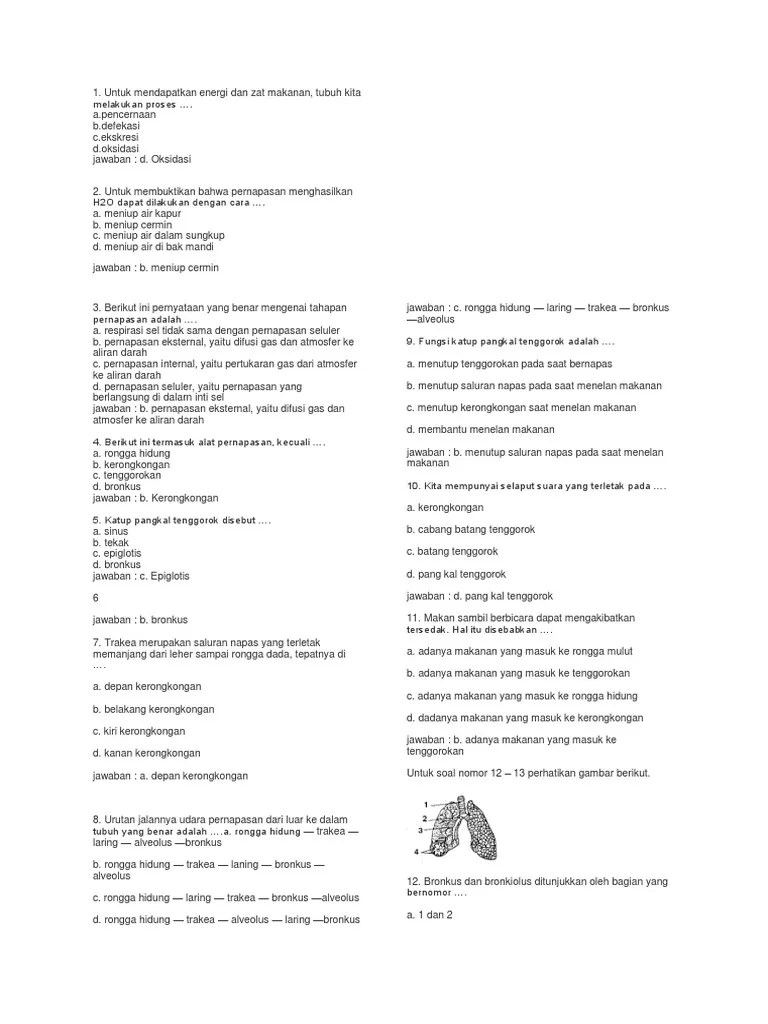 Untuk Membuktikan Bahwa Pernapasan Menghasilkan H2o Dapat Dilakukan Dengan  Cara - Berbagai Peruntukan