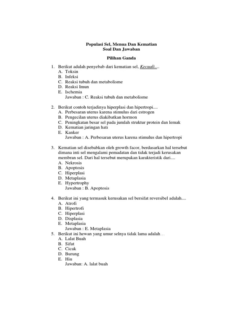 10 contoh soal essay recount text tentang liburan dan kunci jawaban. Soal Pilihan Ganda Beserta Pembahasan Biomolekul Revisi Id