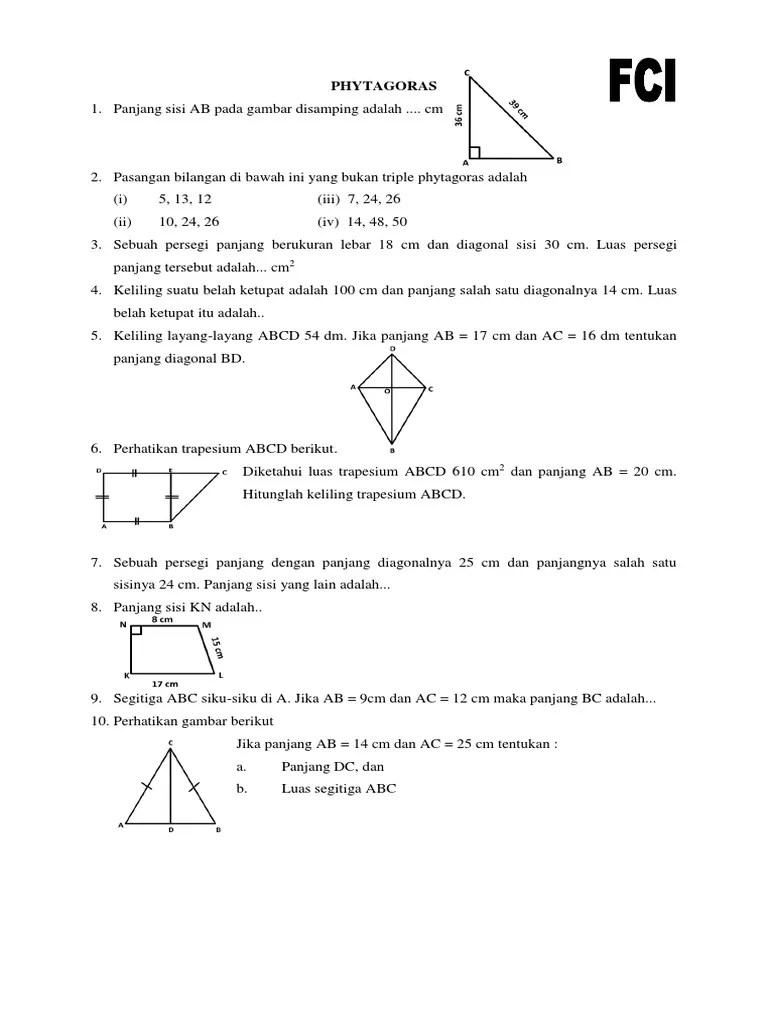 FCI Phytagoras | PDF