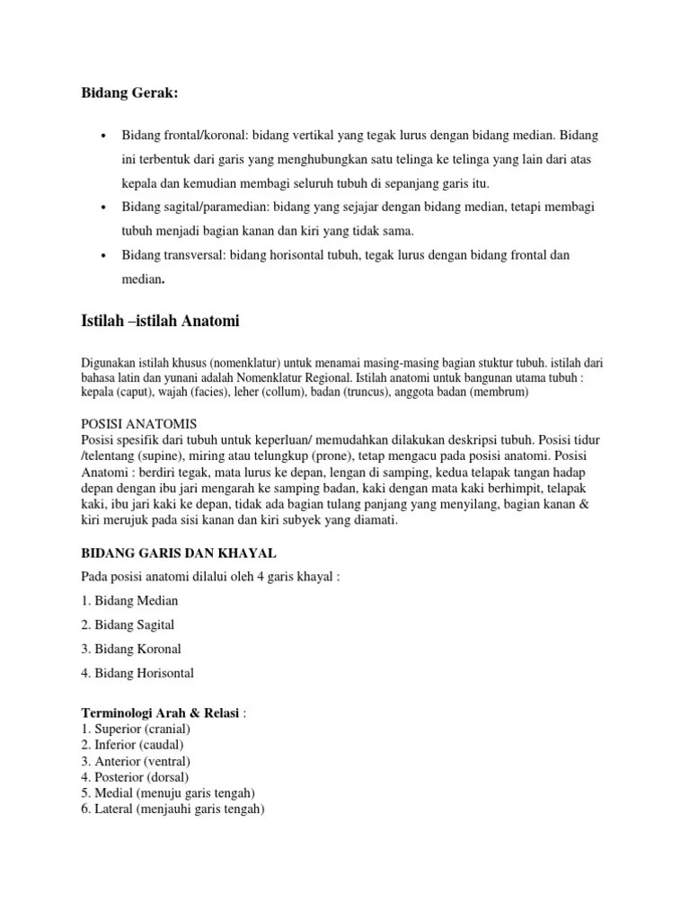 Istilah Anatomi | PDF