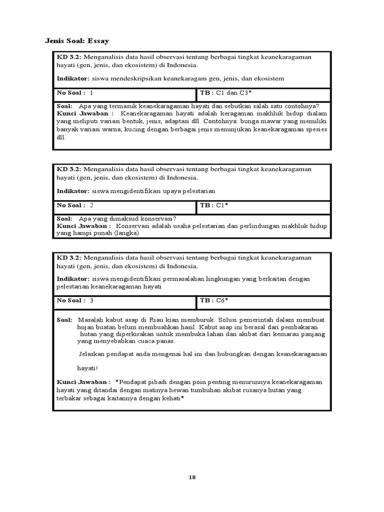 Kartu Soal Essay | PDF