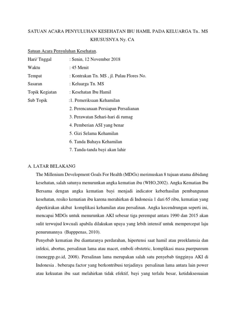SATUAN ACARA PENYULUHAN KESEHATAN IBU HAMIL PADA KELUARGA TN | PDF