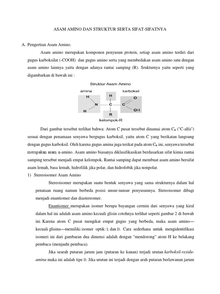 Asam Amino Dan Struktur Serta Sifat | PDF