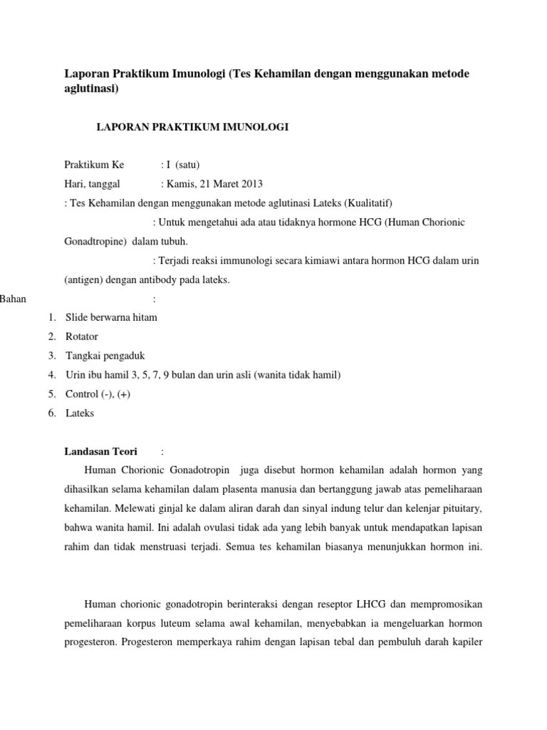 Cara Pemeriksaan Tes Kehamilan Aglutinasi-Laporan Praktikum Imunologi | PDF