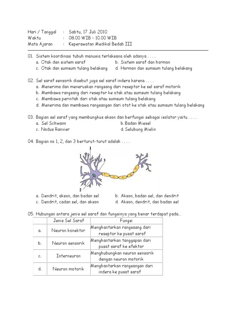 Saraf Motorik Membawa Rangsangan Dari – Kami