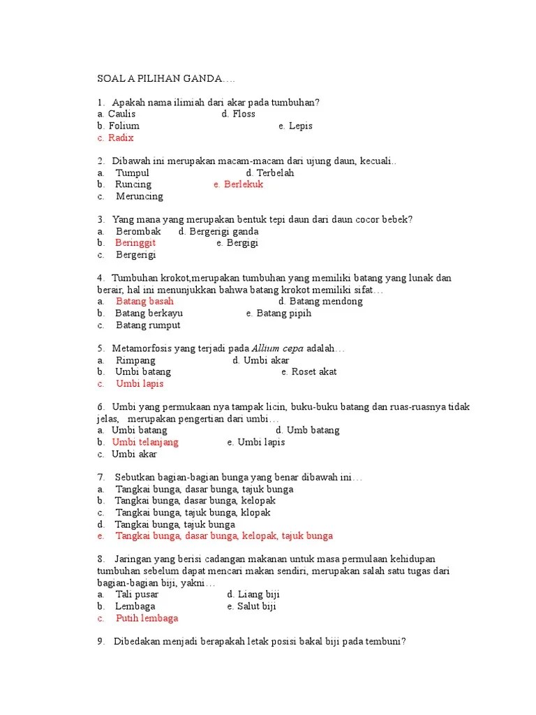 Serat dari akar, serat dari buah, serat dari daun, serat dari bunga. Soal A Pilihan Ganda Pdf
