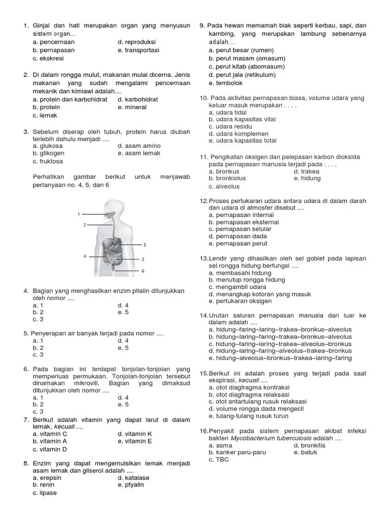 Soal Tryout Kelas 11