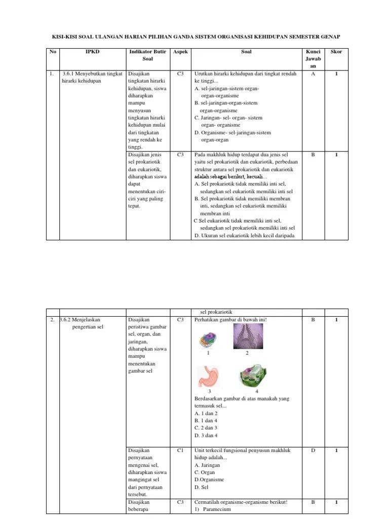 Contoh soal hots ipa smp kelas 7 semester 1 ilmu pengetahuan 9. Soal Uraian Ipa Hots Kelas 7 Tentang Sel Masnurul