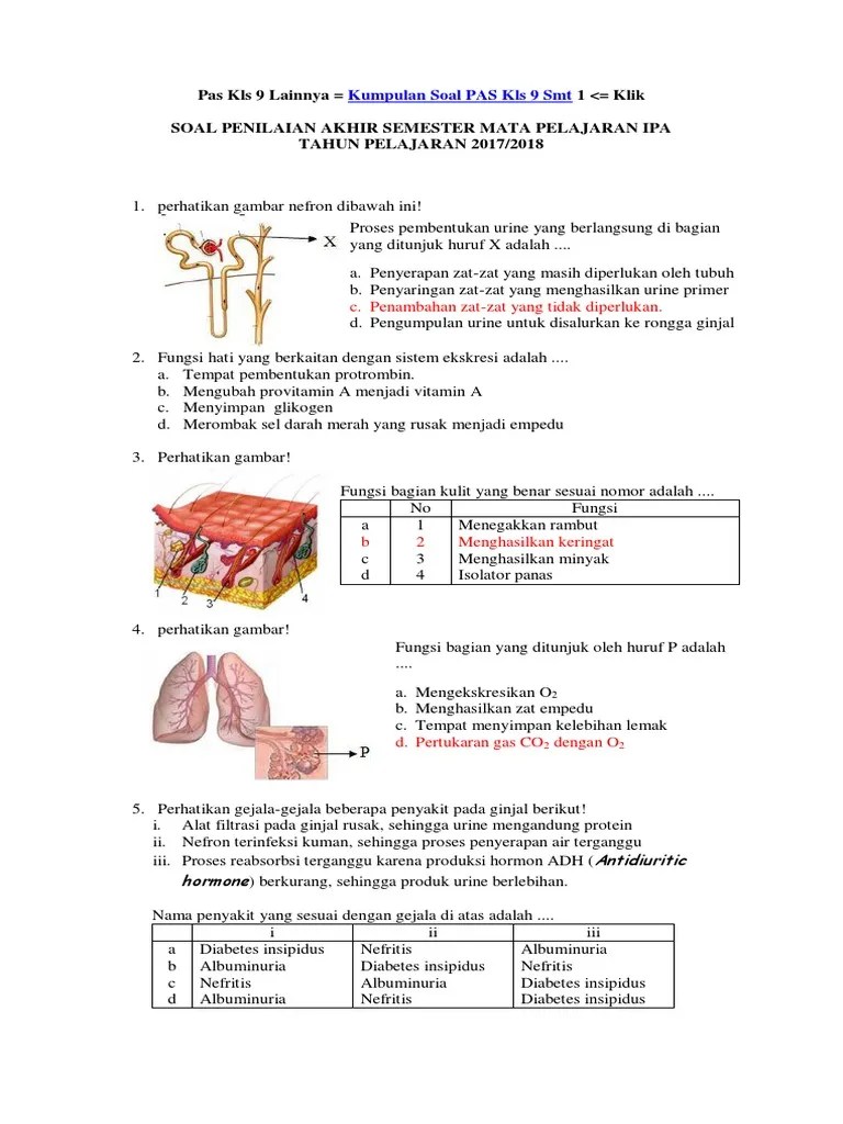 Urine adalah hasil sisa metabolisme yang diekskresikan oleh ginjal kemudian dikeluarkan dari dalam tubuh melalui sistem perkemihan (urinaria). Soal Ipa 9 Upload Pdf