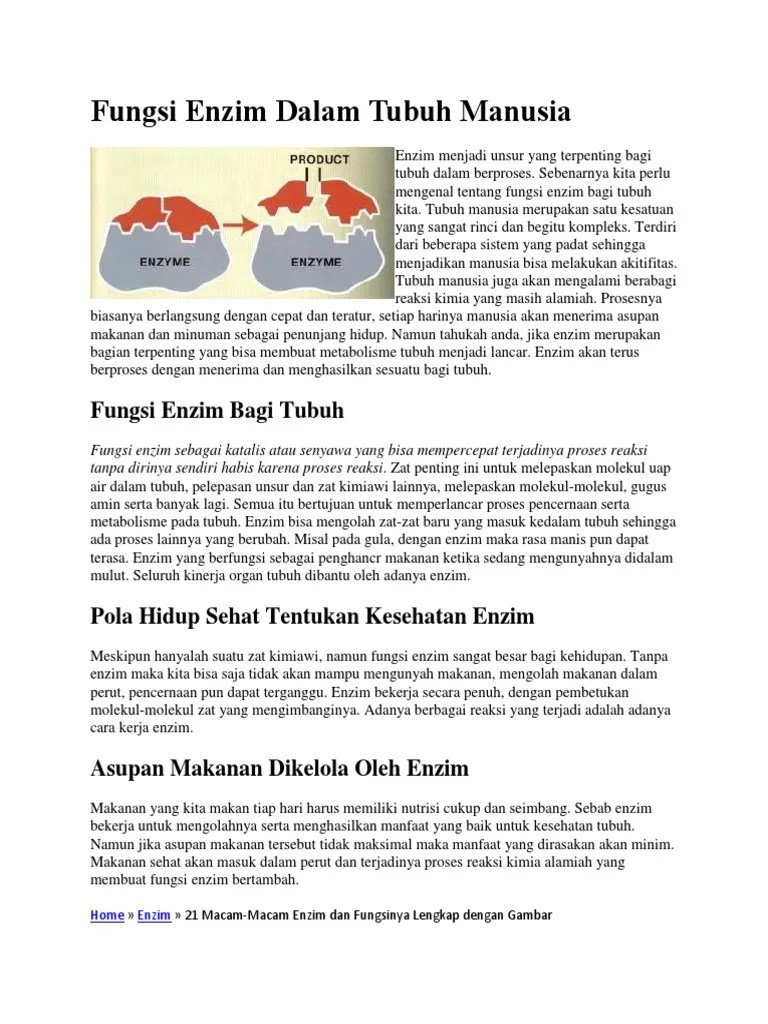 Mekanisme Kerja Enzim | PDF
