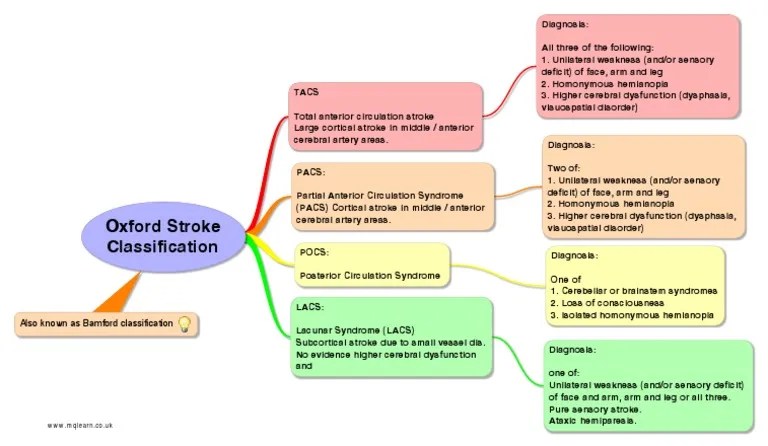 Bamford, j, sandercock, p, dennis, m, et al. Oxfordstrokeclassification Pdf Pdf Stroke Cerebral Cortex