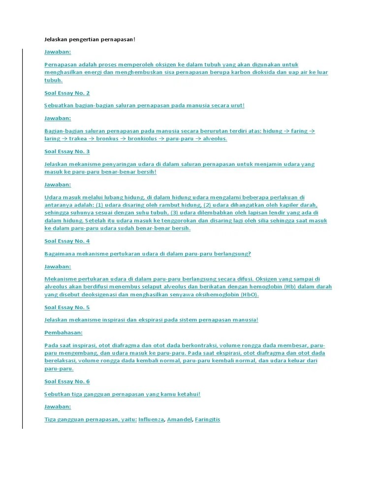 Jelaskan Mekanisme Inspirasi Dan Ekspirasi Pada Pernapasan Manusia – Sedang