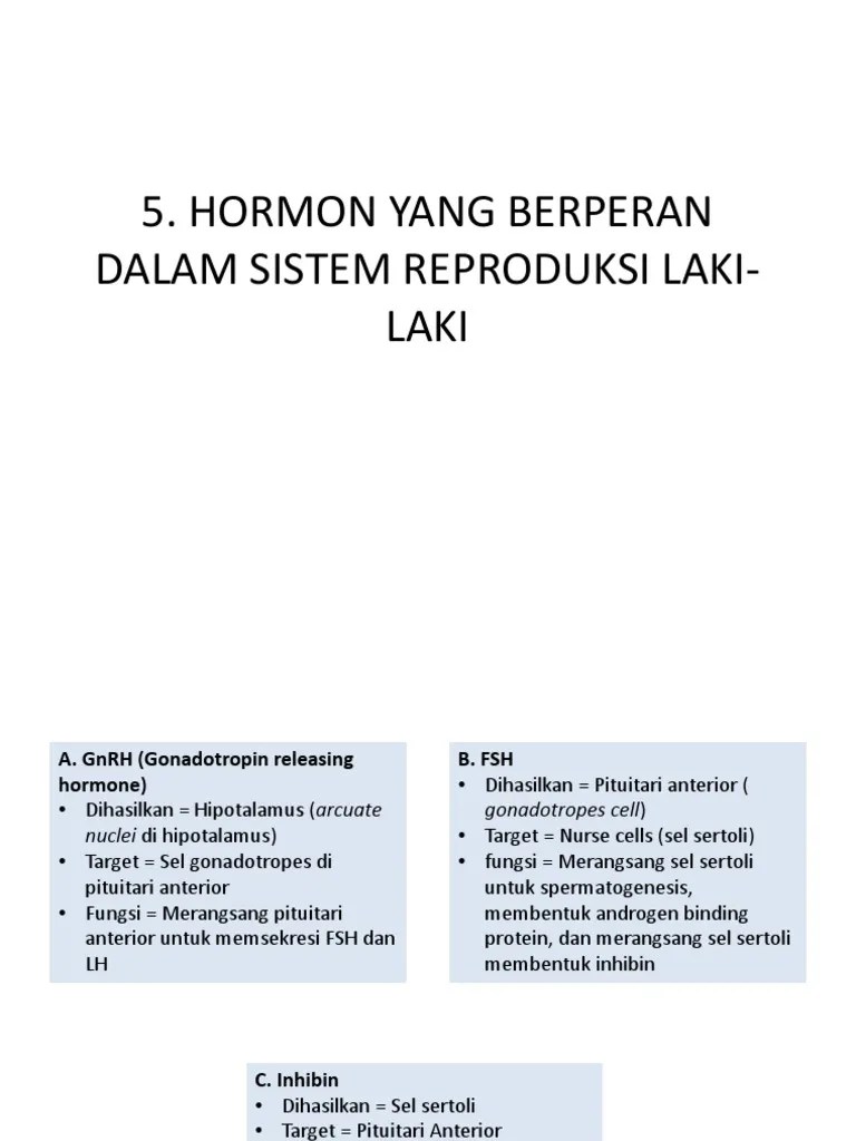 5 Hormon Reproduksi Pria | PDF