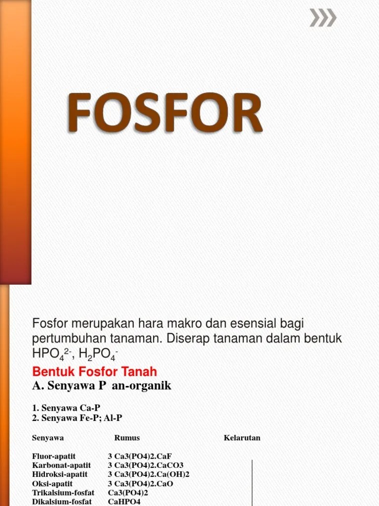 Fosfor Tanah | PDF