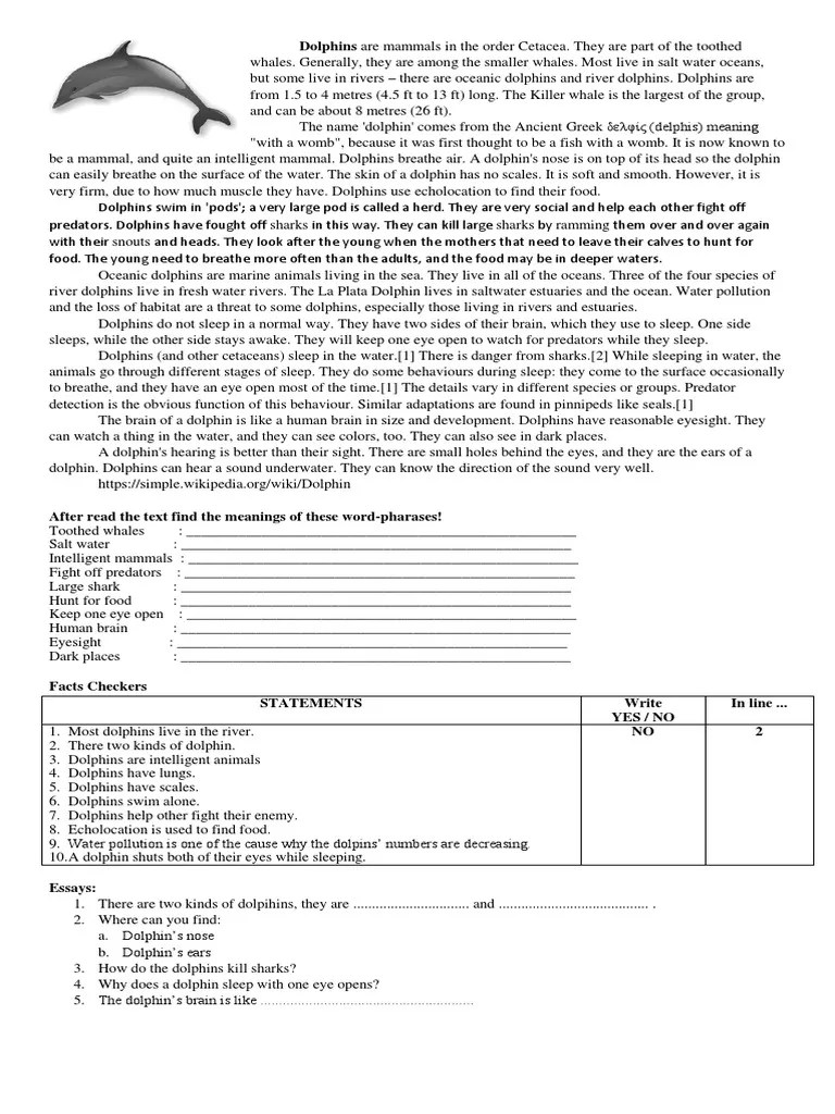 Soal Online Report Text - Lektur