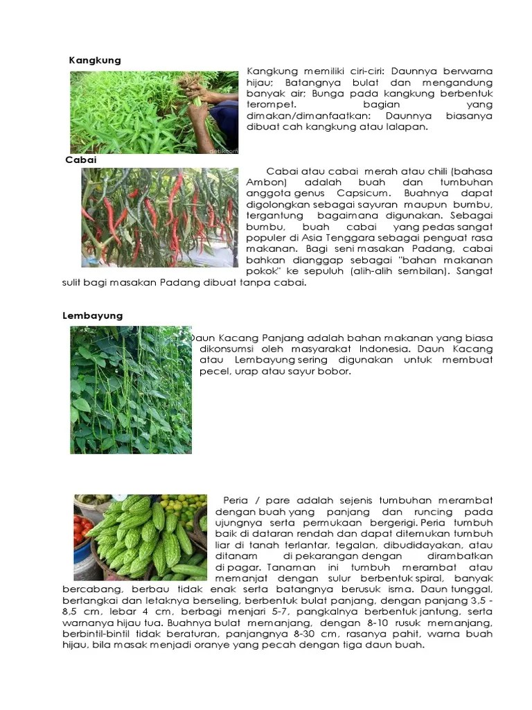 Tanaman Sayuran | PDF