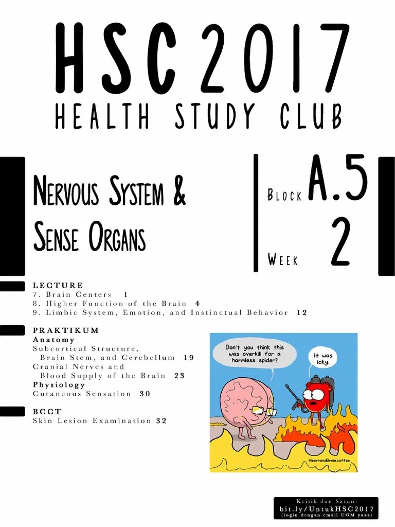 HSC 2017 Week 2 PDF | PDF