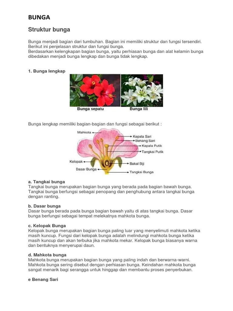 Struktur Bunga | PDF