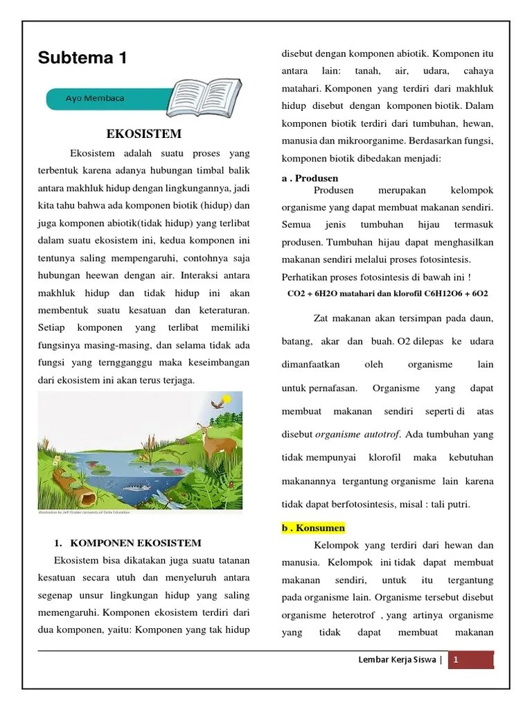 Komponen Biotik Dalam Ekosistem Terdiri Dari